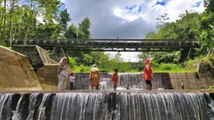 Berjalan di Desa Wisata Pentingsari dengan Lanskap Merapi