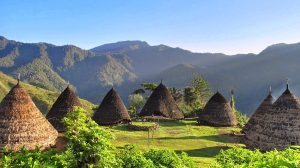 Menikmati Sensasi Desa di Atas Awan di Wae Rebo