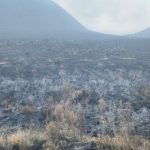 Kebakaran Melanda Sejumlah Gunung di Indonesia, Lima Orang Gugur di Bromo