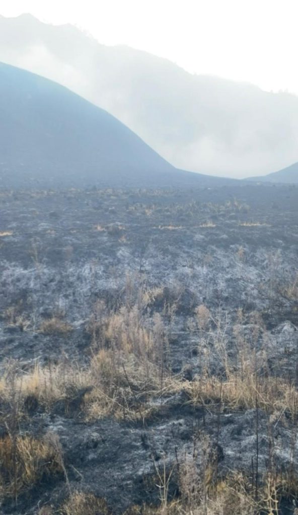 Kebakaran Melanda Sejumlah Gunung di Indonesia, Lima Orang Gugur di Bromo